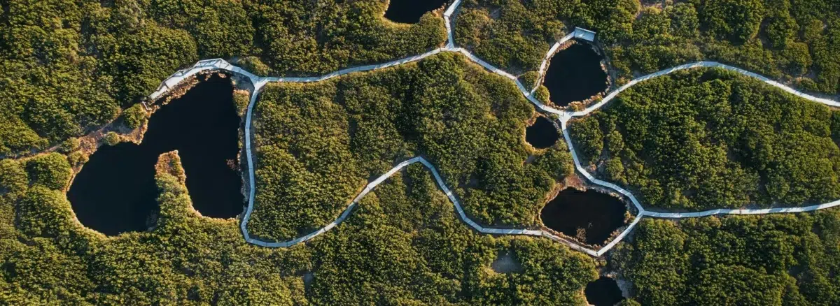 Koroška